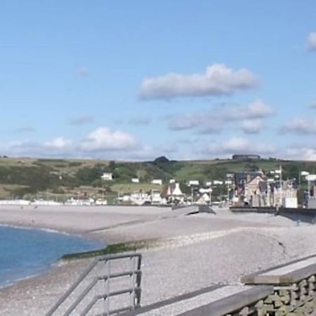 Albatros Studio A Moins De 50 Metres De La Plage, Vue Degagee Sur La Vallee ヴレット・シュル・メール エクステリア 写真