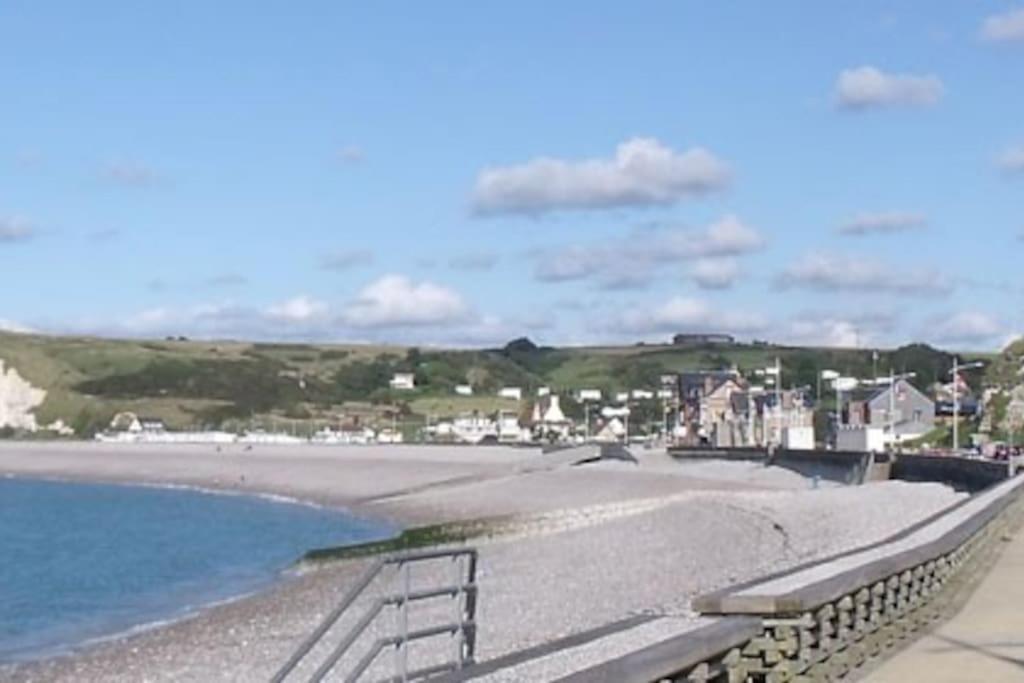 Albatros Studio A Moins De 50 Metres De La Plage, Vue Degagee Sur La Vallee ヴレット・シュル・メール エクステリア 写真
